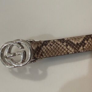 Gucci Marmont Brown Snake Pattern Belt with Silver Buckle
